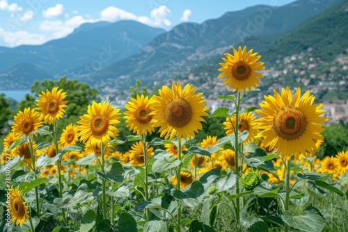 Bright sunflowers stand tall against a backdrop of lush mountains, radiating the warmth of summer.