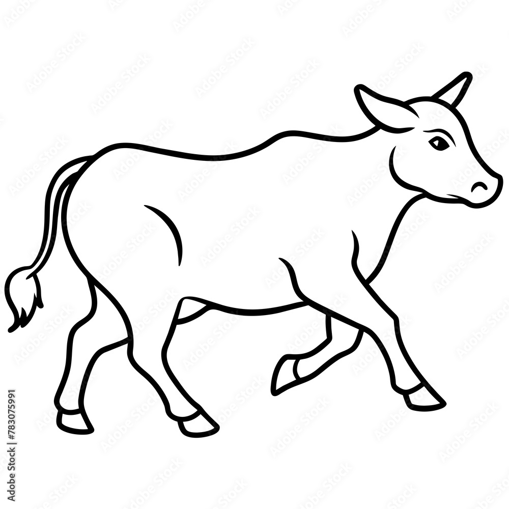 donkey donkey