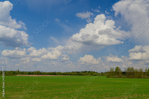 Magnificent colorful views of natural landscape. Beautiful nature backgrounds. Green trees and grass field against blue sky with clouds