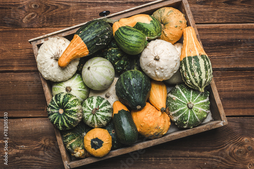 Fresh pumpkins in wooden box. Gourds an squashes. Decorative vegetables harvest. Autumn Thanksgiving decorations.