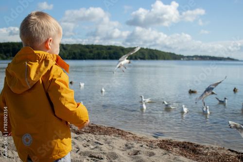 A little toddler boy on the beach watching gull birds in the water, wearing yellow jacket, cloudy weather with sunshine photo
