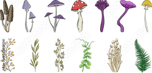 Mushrooms and plants hand drawn linear vector set.