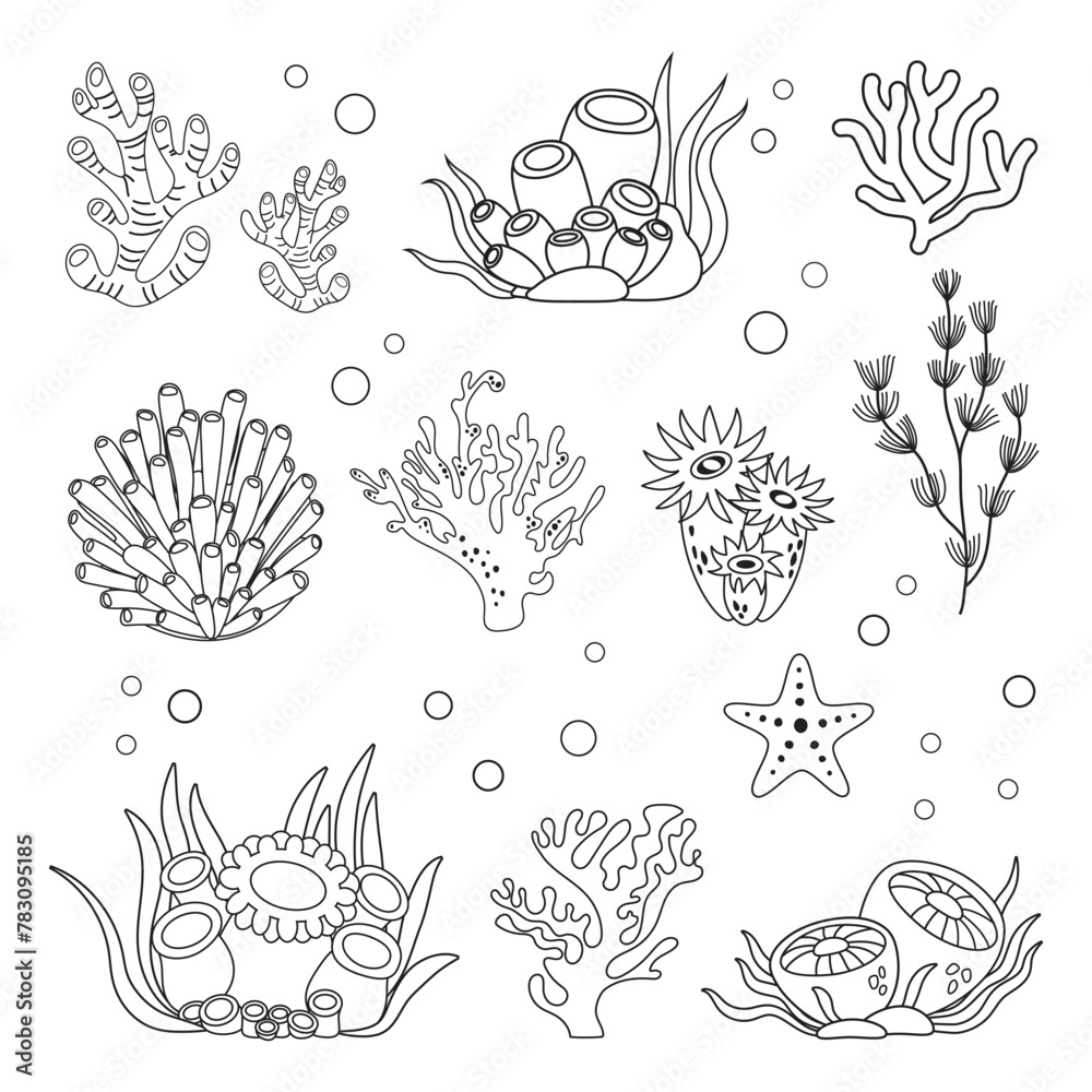 Naklejka premium Marine set, algae and coral in simple linear style. Black and white graphics for books and posters