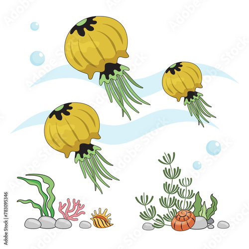 set Jellyfish. Insulated yellow jellyfish on a white background, sea bottom. Color illustration in the style of cartoon. Seafloor with algae, shells and corals
