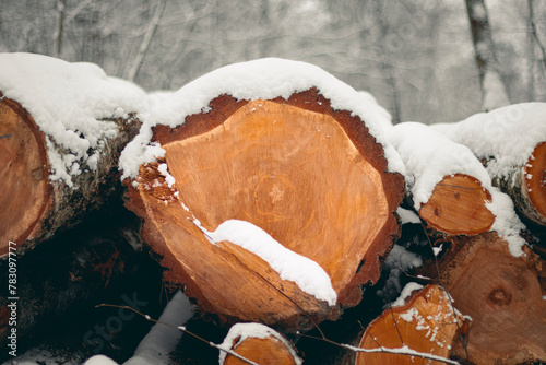 Wood log covered in snow