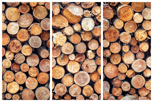 A triptych of cut wood. Cross sections of pine logs for fire wood or manufacturing. Suitable for deforestation and forestry themed projects.
