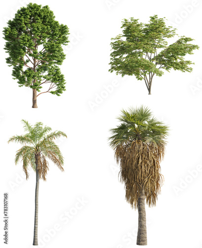 Various trees on transparent background, cutouts 3D rendering for architecture visualization, presentation background, 2D or 3D illustration & digital composition © ANDRIBENKY