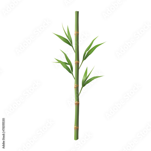 Wallpaper Mural Green Bamboo Stalk with Fresh Leaves Isolated, Representing Growth and Natural Beauty Concepts. Torontodigital.ca