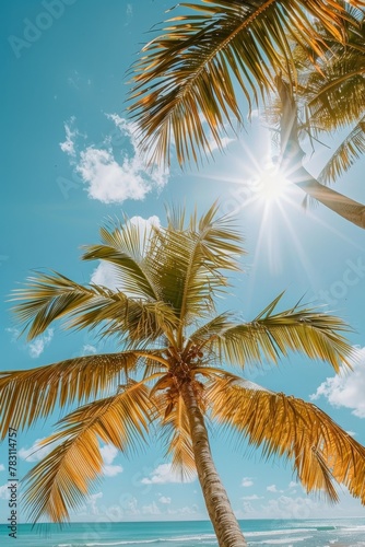 palm trees on the beach. Summer holidays concept