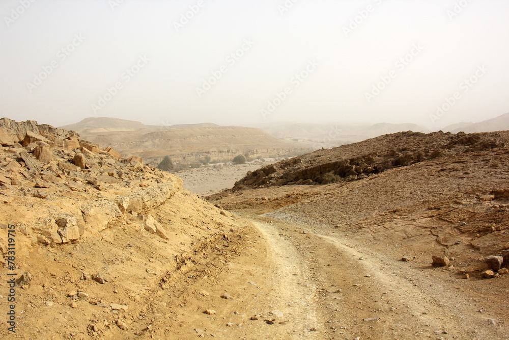 The Negev is a desert in the Middle East, located in Israel and occupying about 60% of its territory. The Negev is a desert in the Middle East, located in Israel and occupying about 60% of its territory.