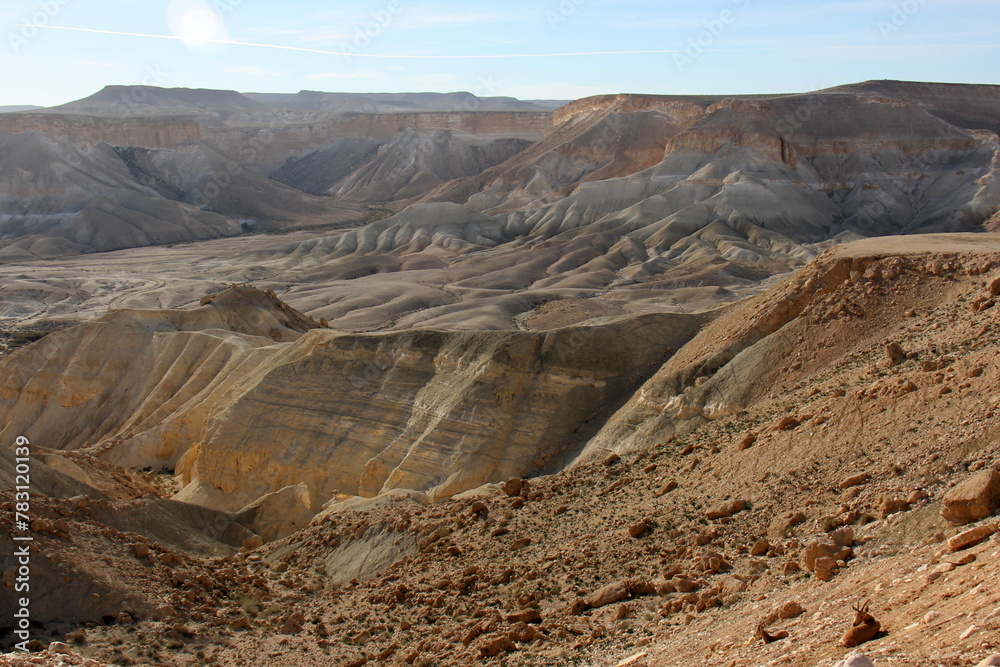 The Negev is a desert in the Middle East, located in Israel and occupying about 60% of its territory.
