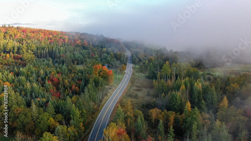 Highway through picturesque forest in white fog. Atmospheric autumn landscape. Travel, ecotourism.