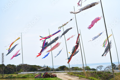 佐渡島の宿根木周辺で鯉のぼり photo