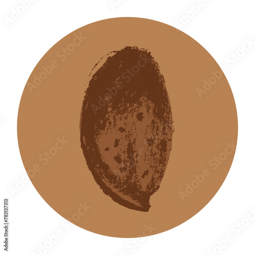 Vector hand-drawn illustration almond. Color charcoal drawing of almond nut for marzipan paste label design or almond butter packaging. Botanical sketch for ketogenic diet banner.