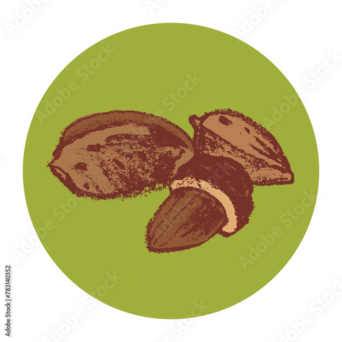 Vector hand-drawn illustration almond. Color charcoal drawing of almond nut for marzipan paste label design or almond butter packaging. Botanical sketch for ketogenic diet banner.