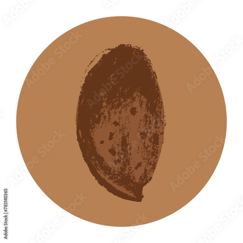 Vector hand-drawn illustration almond. Color charcoal drawing of almond nut for marzipan paste label design or almond butter packaging. Botanical sketch for ketogenic diet banner.