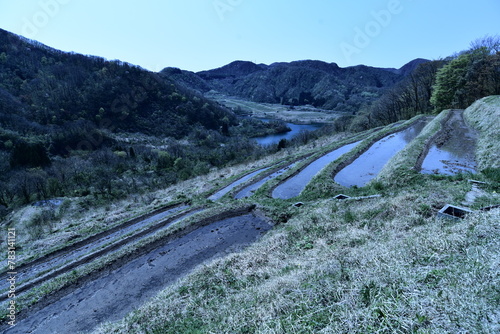 佐渡島の小倉千枚田