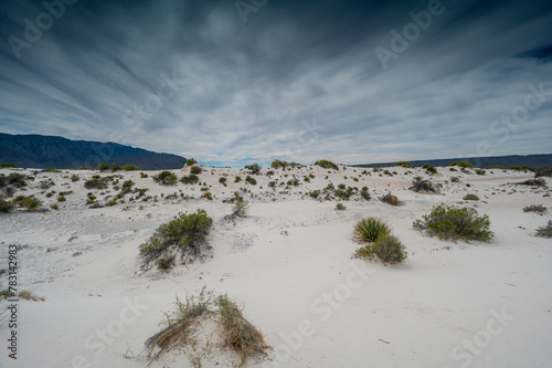 paisaje desertico