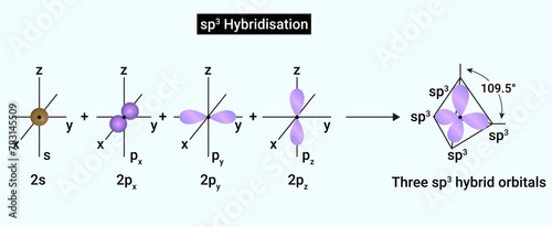 sp3 Hybridisation: One s and three p orbitals of an atom of a molecule or ion, are mixed to give  four new hybrid orbitals called as sp3 hybrid orbitals.