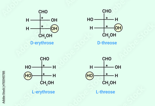Structure of D-erythrose, L-erythrose, D-threose and L-threose photo