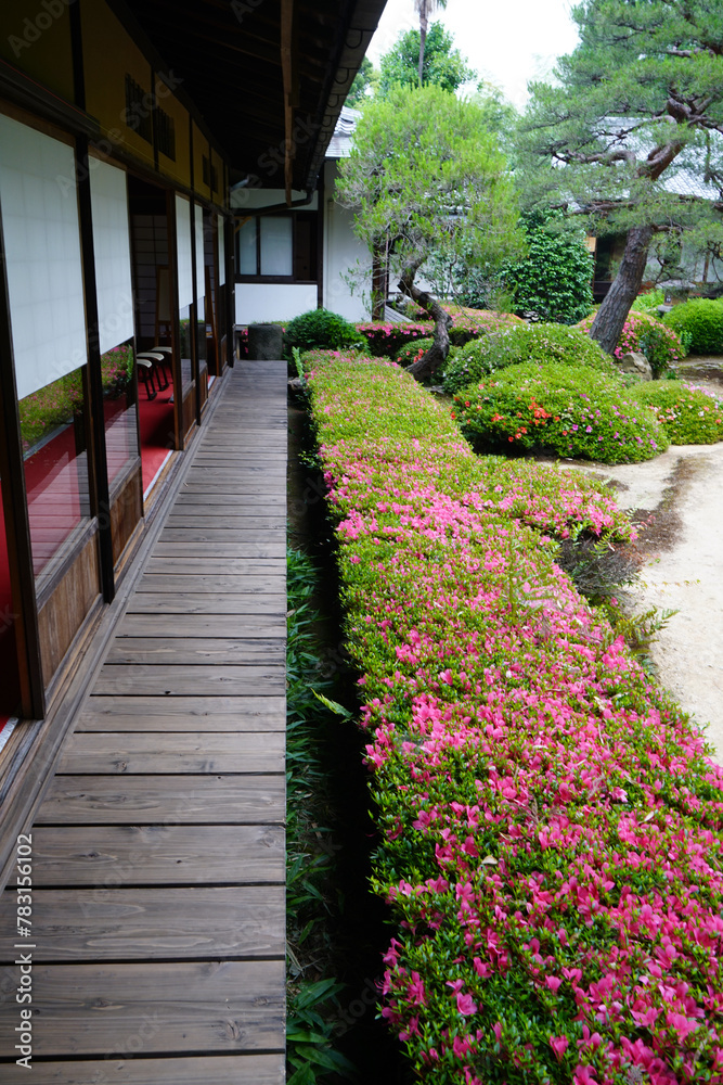 Obraz premium 泉涌寺塔頭別格本山雲龍院の庭園風景