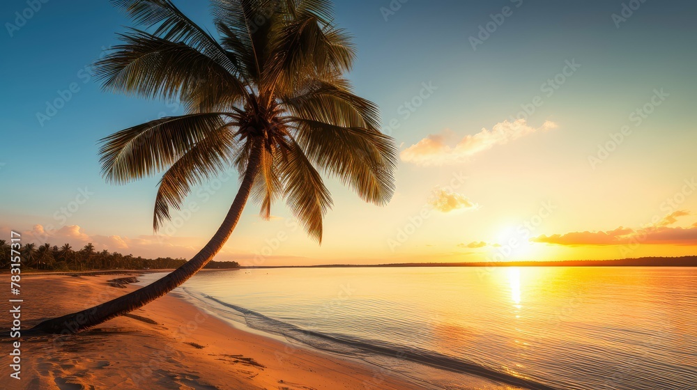 Fototapeta premium beach sun wave palm tree