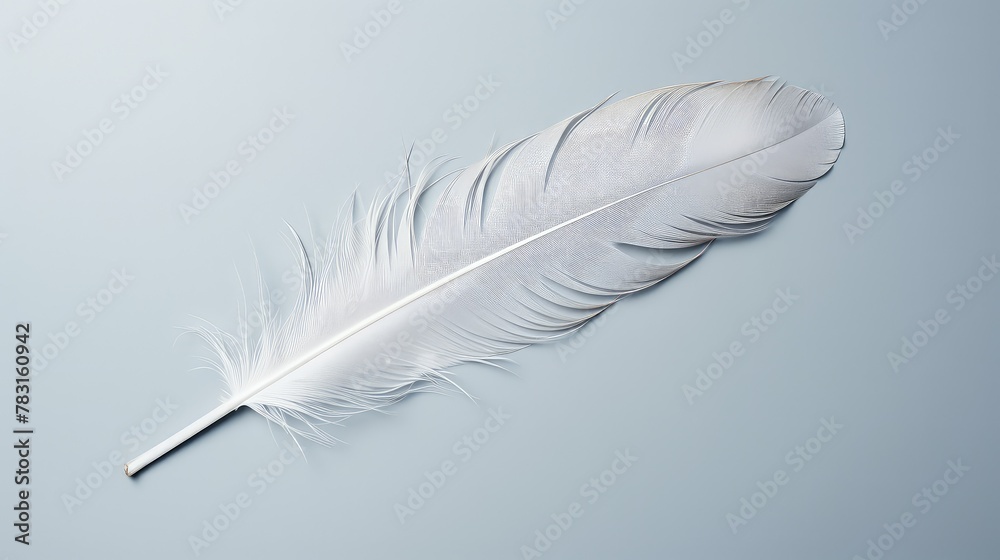 composition light gray solid background composition light gray solid background