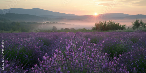 Serene Lavender Field at Sunset with Majestic Mountains and Mist in the Air