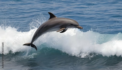 A-Dolphin-Jumping-Over-A-Wave-