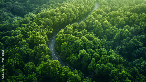 A winding road through a lush green forest