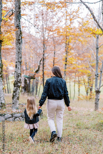 Little girl walks through the autumn forest, holding her mother hand. Back view © Nadtochiy