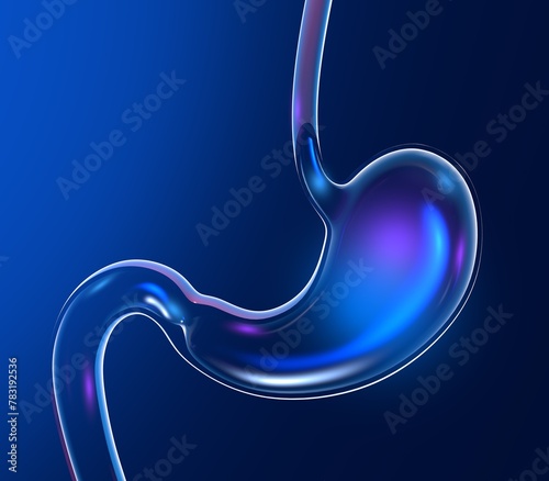 3D illustration of transparent glass stomach with shine and reflections. Anatomical section seen from the front on a dark blue background.