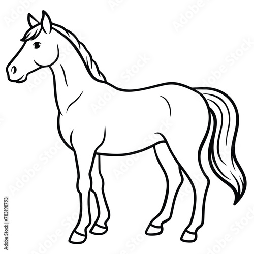 Horse Illustrations - Ideal for Equestrian Branding, Art Prints, and Farmhouse Decor © VectographyStudio