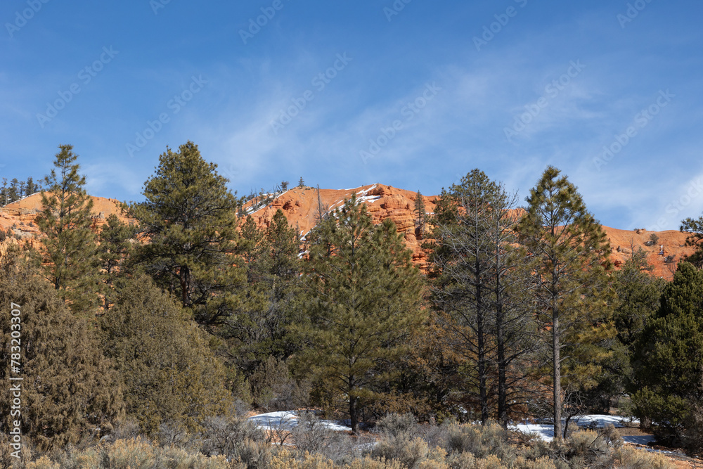 Fototapeta premium Beautiful utah and nevada mountains