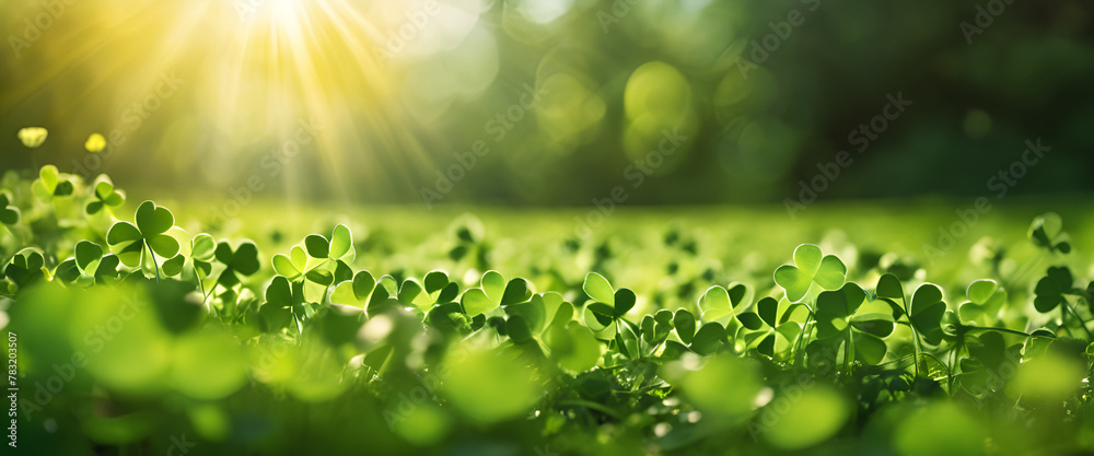 St Patty's Day. St Patty's Day.
