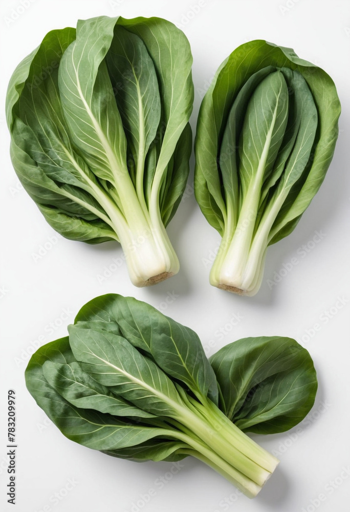 Fresh ripe pak choi cabbage on isolated white background on isolated white background, juicy and fresh, top view, Flat lay, no shadows Fresh ripe pak choi cabbage on isolated white background on isolated white background, juicy and fresh, top view, Flat lay, no shadows
