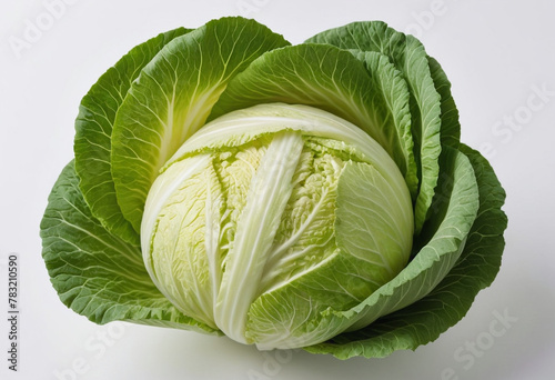 Fresh Chinese cabbage on isolated white background , juicy and fresh, top view, Flat lay, no shadows photo