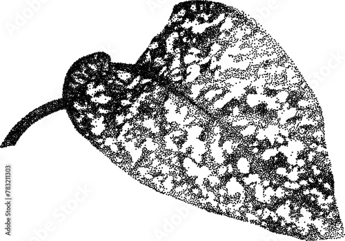 Grunge grain plant with a xerox or grainy photocopy effect. Dotted element with halftone stipple effect for gothic collage design. Vector illustration.	