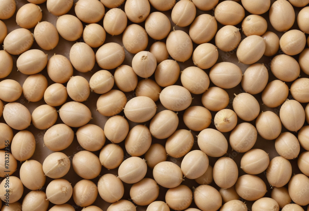 Fresh soybean on isolated white background , juicy and fresh, top view, Flat lay, no shadows Fresh soybean on isolated white background , juicy and fresh, top view, Flat lay, no shadows