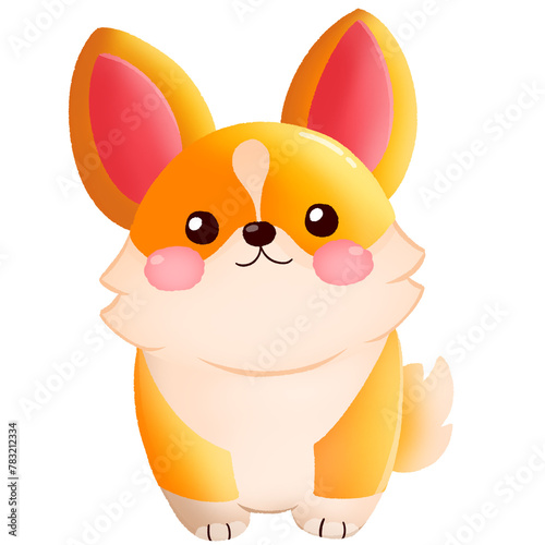 corgi dog