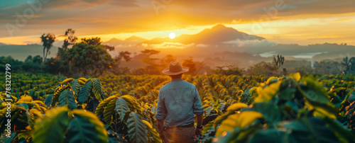 Farmer watching sunset over coffee plantation with mountains in background
