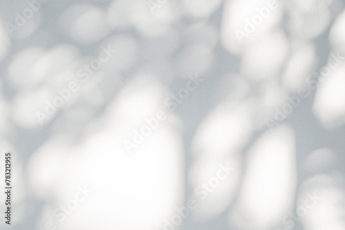 Fotografia Tree shadow and leaf branch background