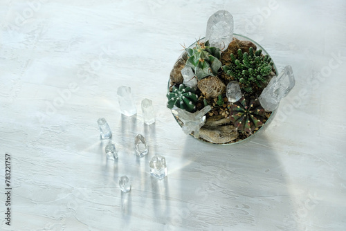 clear quartz gemstones and succulent plants in florarium on table. Minerals for Crystal Magic Ritual. Witchcraft, spiritual practice for Relaxation, meditation, life balance. top view