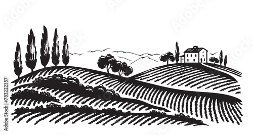 Vineyard landscape, Sketch, hand drawn illustrations.	
