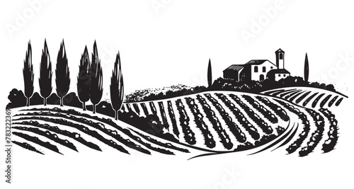 Vineyard landscape, Sketch, hand drawn illustrations. 