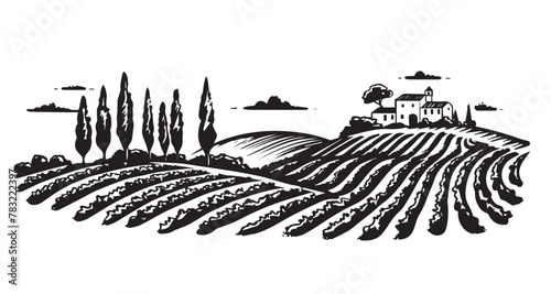 Vineyard landscape, Sketch, hand drawn illustrations.   © Ilya