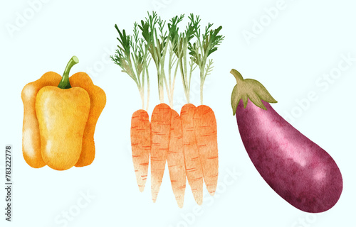 vegetable , paprika, carrot, eggplant