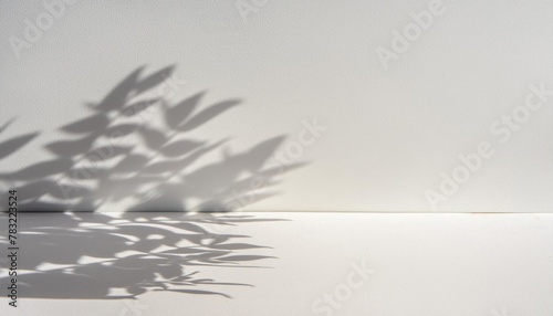 Fondo de color blanco con sombras, recurso gráfico para presentación de productos