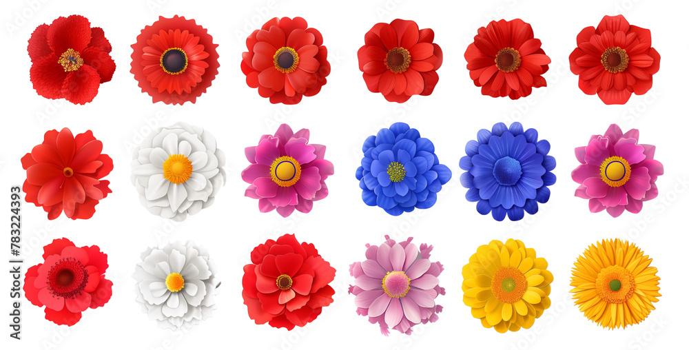 Set of wild flowers isolated on transparent background