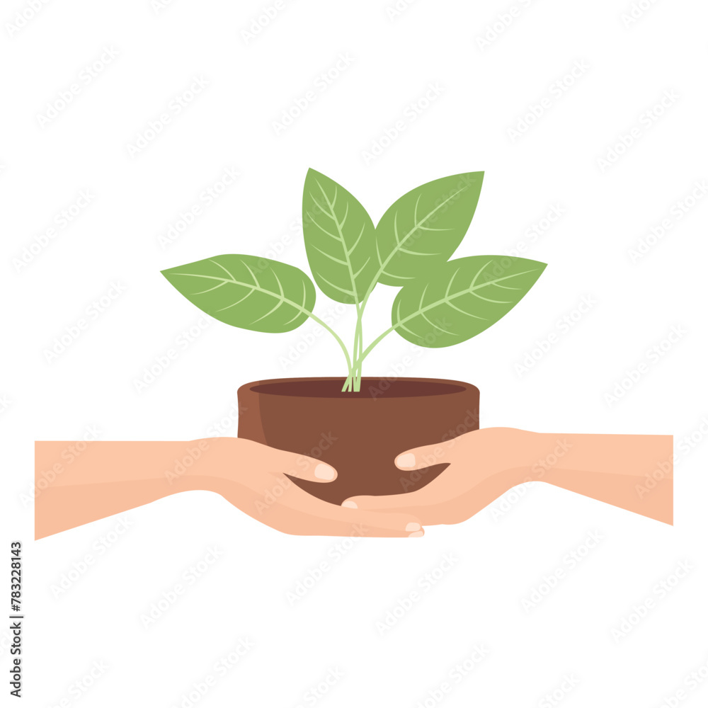 Two human hands holding green plant, hand handing over tree seedling plant, forest conservation image Two human hands holding green plant, hand handing over tree seedling plant, forest conservation image